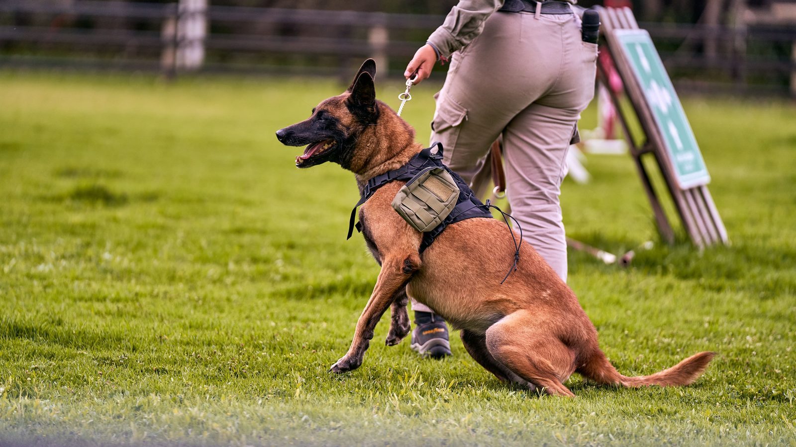 Photo from Puptrain